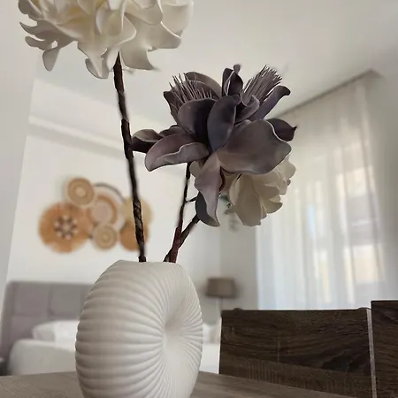 Kyma Luxury * Kiáton